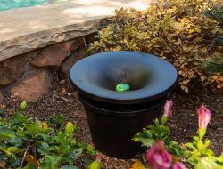 Mosquito Treatment San Antonio Effective Pest Control